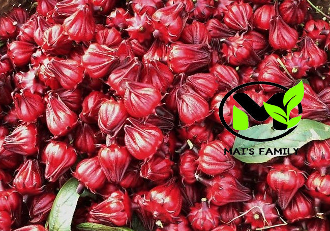 roselle plant seeds Roselle Seeds, Hoa Bụt Giấm, Hibiscus sabdariffa Organic – Mai's Family