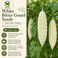 White Skin Bitter Gourd Seeds – Khổ Qua Trắng Heirloom Non-GMO Asian Vegetable