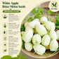 White Apple Bitter Melon Seeds (Momordica charantia) F1 HYBRID