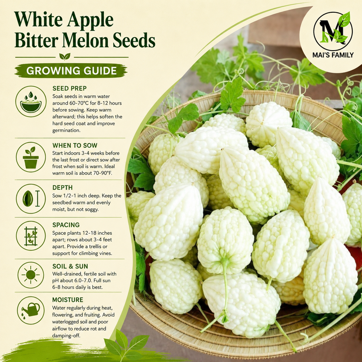 White Apple Bitter Melon Seeds (Momordica charantia) F1 HYBRID