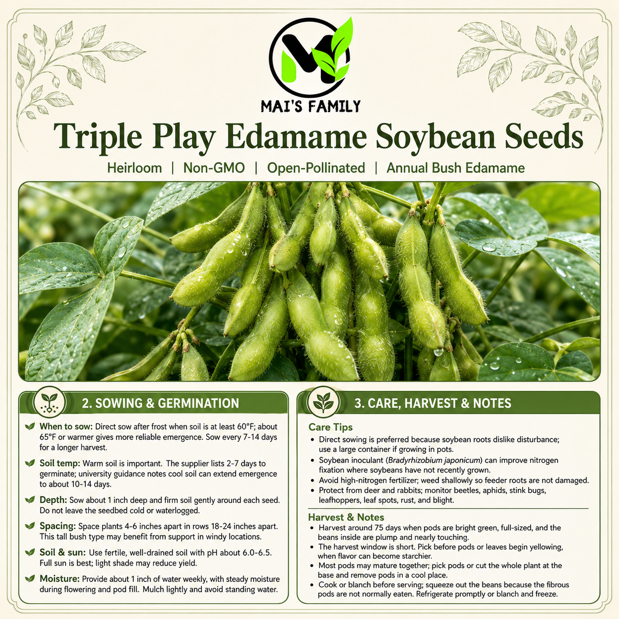 Triple Play Edamame Soybean Seeds – Heirloom Non-GMO Open-Pollinated Bush Edamame