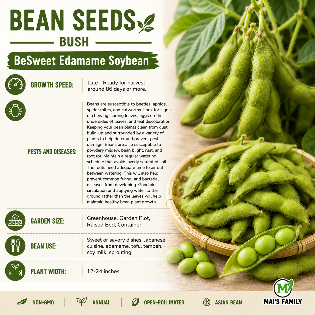 BeSweet Edamame Soybean Seeds – Non-GMO Open-Pollinated Bush Soybean