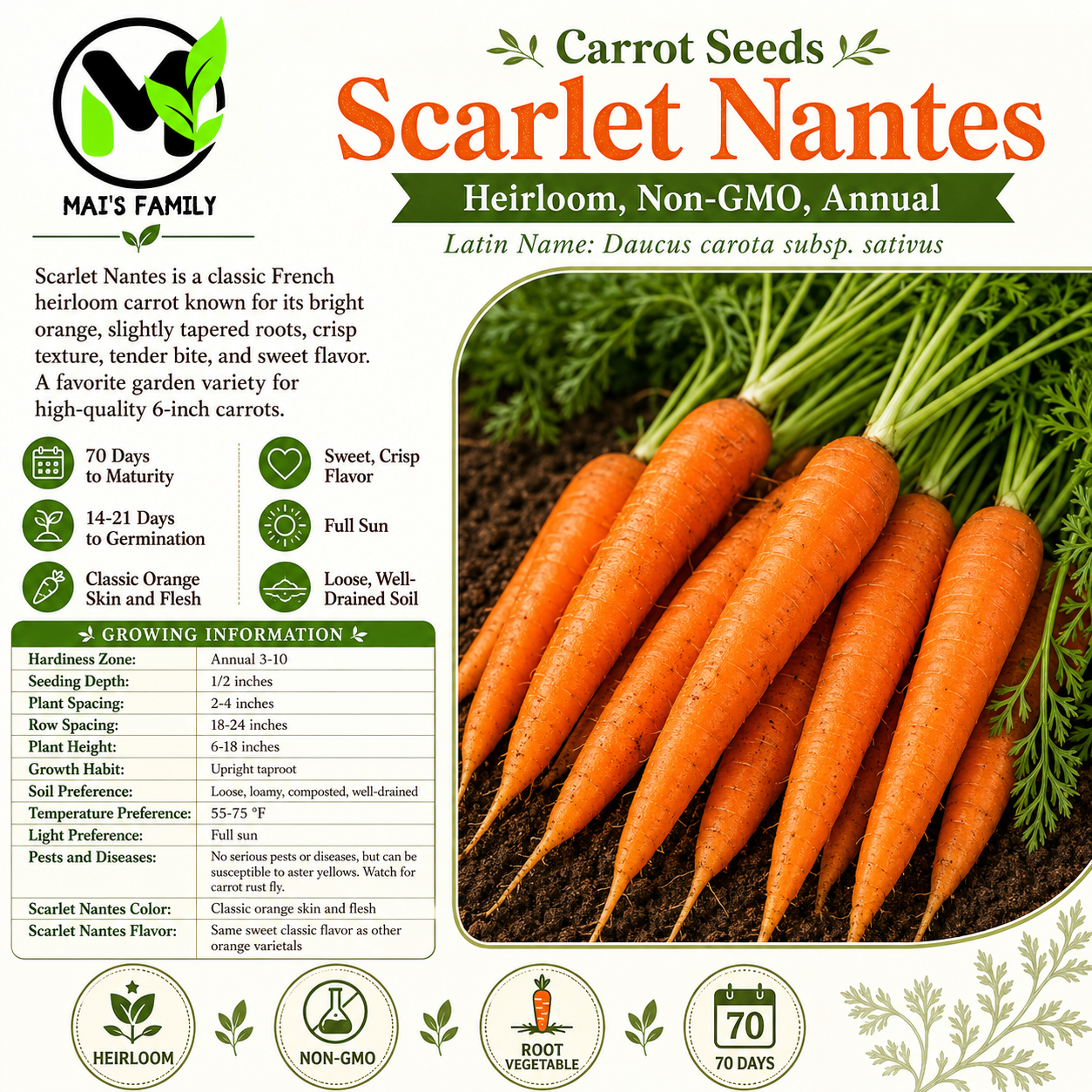 Scarlet Nantes Carrot Seeds – Heirloom Non-GMO Sweet Orange Carrot