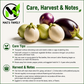 Round Eggplant Seeds Mix – Purple, Green & White Vietnamese Cà Pháo 3 Màu, Heirloom Non-GMO