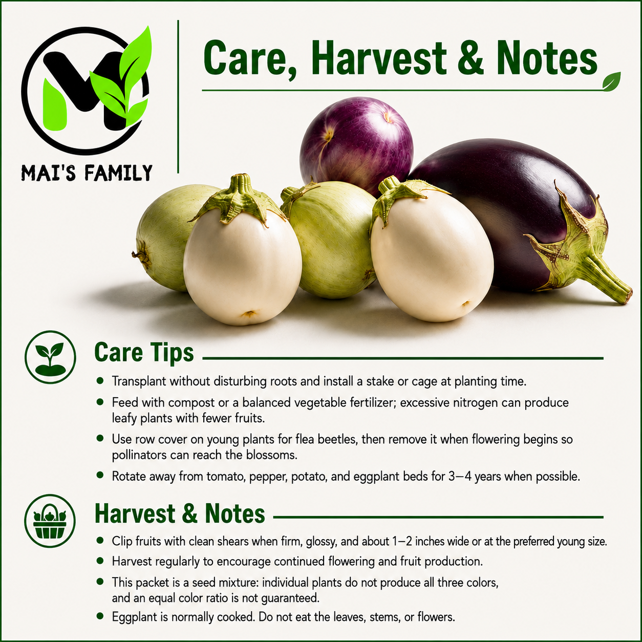 Round Eggplant Seeds Mix – Purple, Green & White Vietnamese Cà Pháo 3 Màu, Heirloom Non-GMO