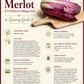 Merlot Chinese Cabbage Seeds – F1 Hybrid Dark Red Napa Cabbage