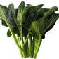 Yu Choy - Jung Green Seeds, Cải Ngọt, 傳家寶非基因改造