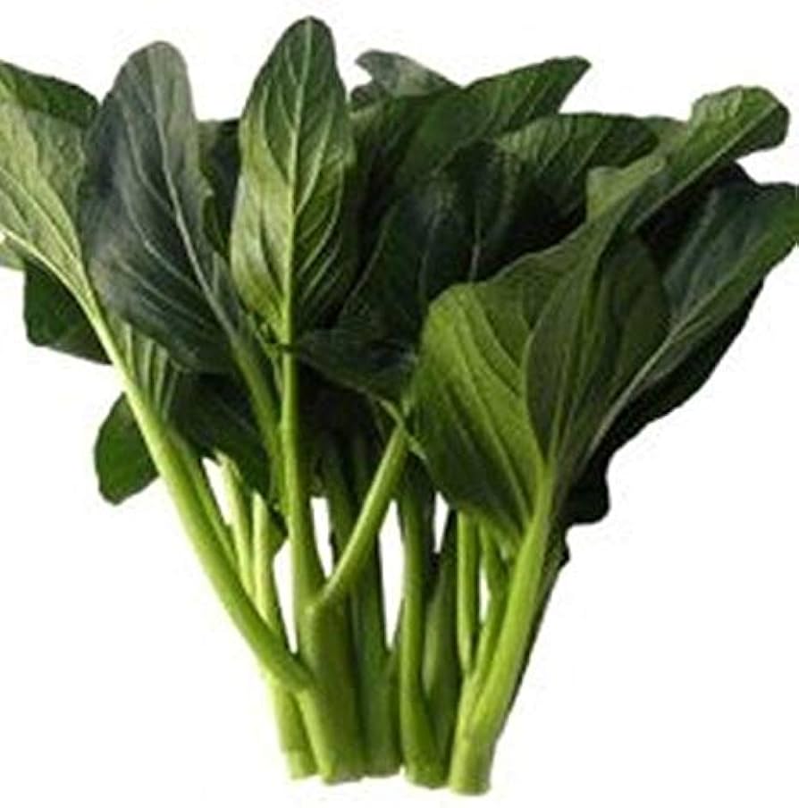 Yu Choy - Jung Green Seeds, Cải Ngọt, 傳家寶非基因改造