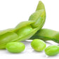 BeSweet Edamame Soy Bean Seeds | Non-GMO Vegetable