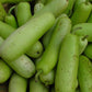 Long Bottle Gourd Seeds | Calabash Gourd, F1 | NON-GMO