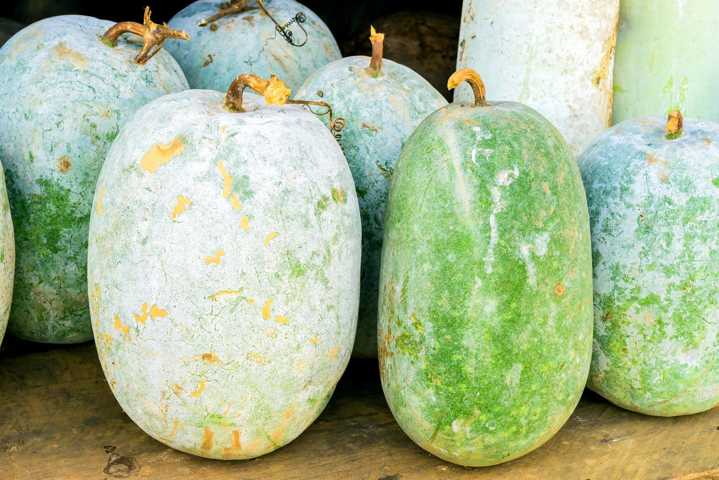 Wax Gourd (Winter Melon) Seeds - Non-GMO Heirloom