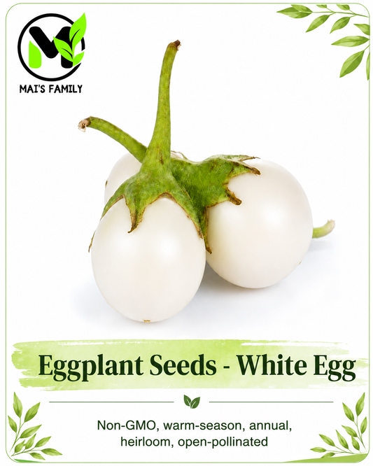 Round White Eggplant Seeds – Cà Pháo Trắng Heirloom Non-GMO