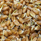 Organic Hard White Wheat Berries Seeds – Mill Direct Grain for Wheatgrass, Sprouting & Home Milling