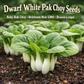 Dwarf White Pak Choy Seeds | Baby Bok Choy | Heirloom Non-GMO | Brassica rapa