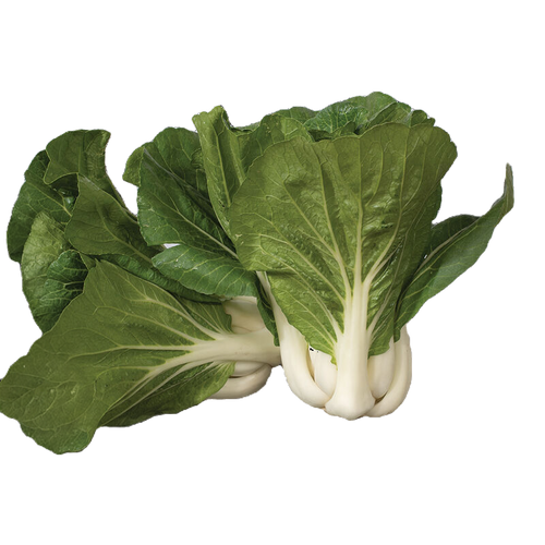 Dwarf White Pak Choy Seeds | Baby Bok Choy | Heirloom Non-GMO | Brassica rapa