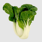 Dwarf White Pak Choy Seeds | Baby Bok Choy | Heirloom Non-GMO | Brassica rapa