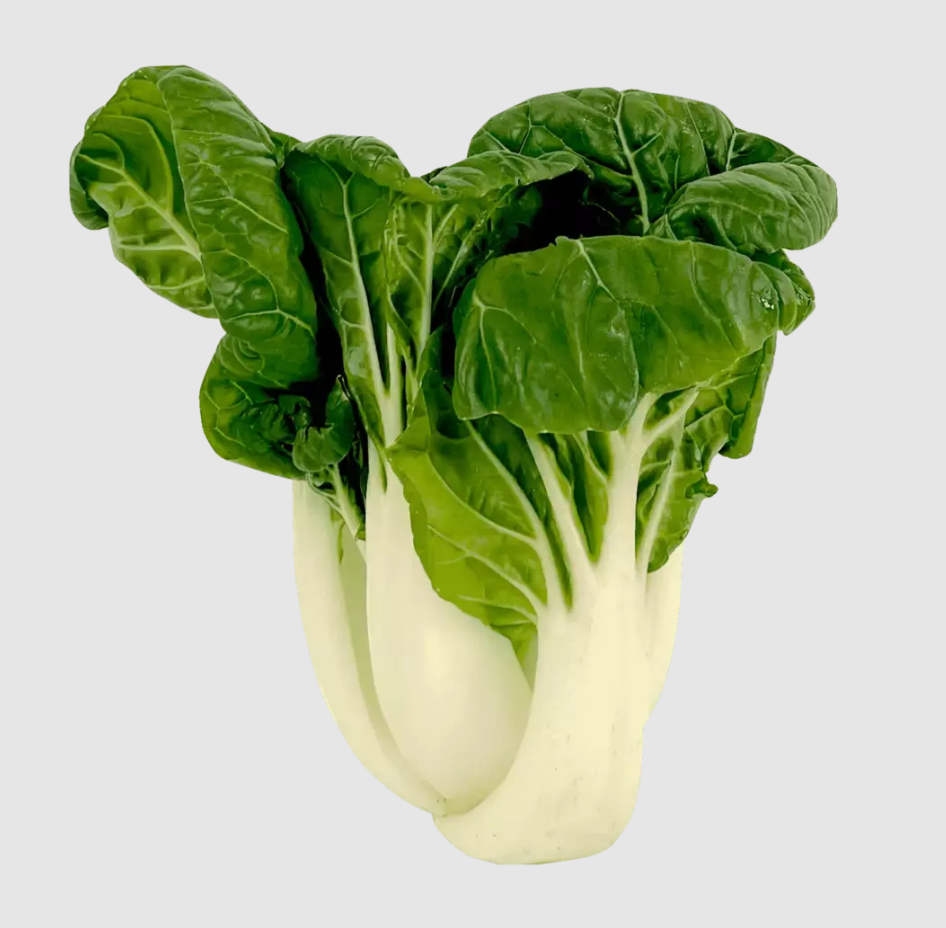 Dwarf White Pak Choy Seeds | Baby Bok Choy | Heirloom Non-GMO | Brassica rapa