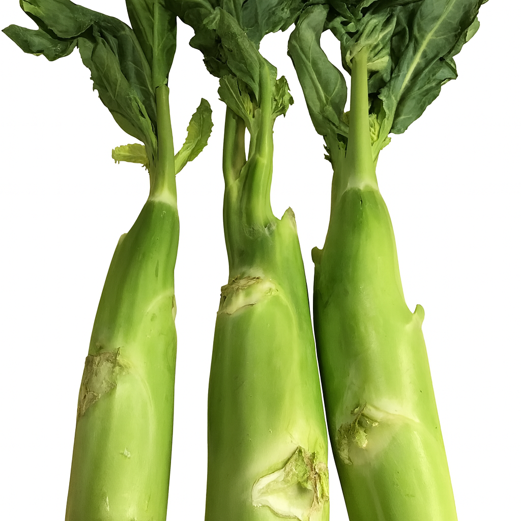Huge Stem Gai Lan (Chinese Broccoli) – Big Stem Kai Lan | Heirloom Non-GMO Asian Vegetable Seeds
