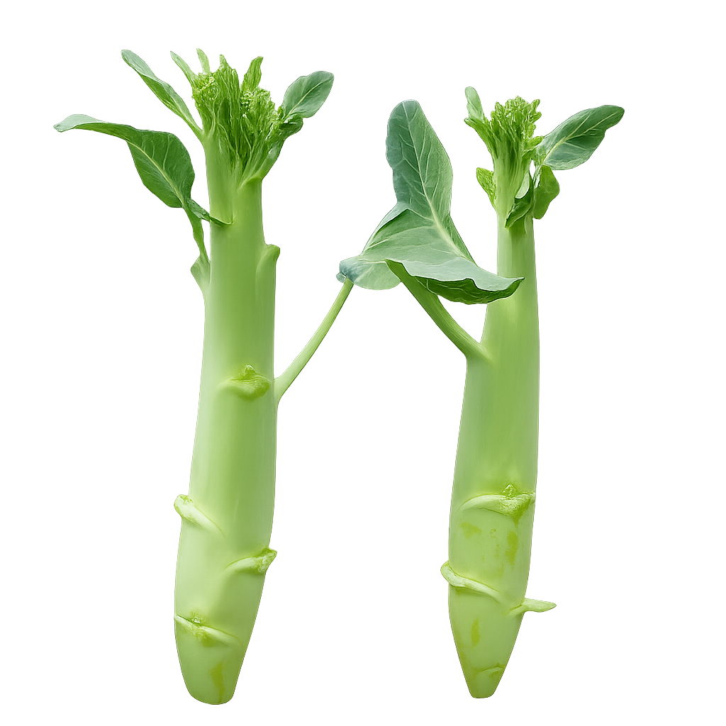 Huge Stem Gai Lan (Chinese Broccoli) – Big Stem Kai Lan | Heirloom Non-GMO Asian Vegetable Seeds