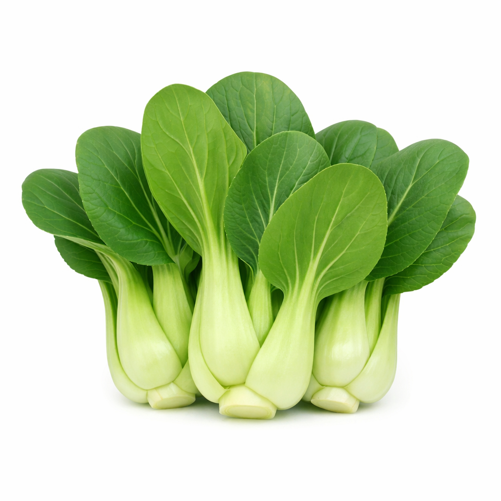 Pak Choy Ching Chang Seeds | Baby Bok Choy Green Stem | Heirloom Non-GMO