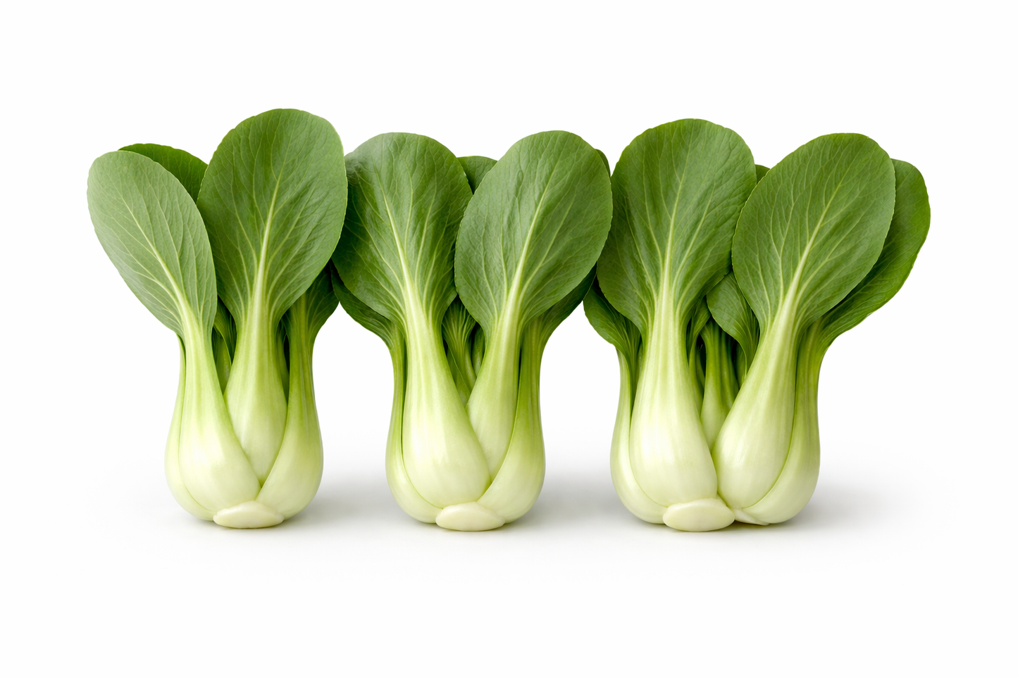 Pak Choy Ching Chang Seeds | Baby Bok Choy Green Stem | Heirloom Non-GMO