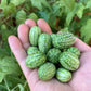 Mexican Sour Gherkin Cucumber Seeds - Melothria scabra - Mouse Melon