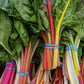 Rainbow Mixture Swiss Chard Seeds – Heirloom, Non-GMO