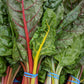 Rainbow Mixture Swiss Chard Seeds – Heirloom, Non-GMO
