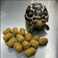 Tortoise Diet (4oz - 4 lbs). Sealed from Bulk- Sulcata,Leopard,and more..