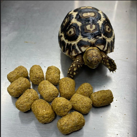 Tortoise Diet (4oz - 4 lbs). Sealed from Bulk- Sulcata,Leopard,and more..