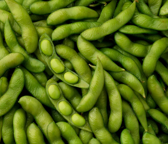 BeSweet Edamame Soy Bean Seeds | Non-GMO Vegetable