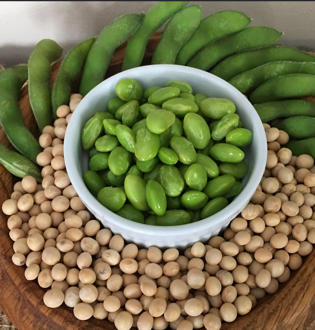 edamame plant seeds BeSweet Edamame Soy Bean Seeds