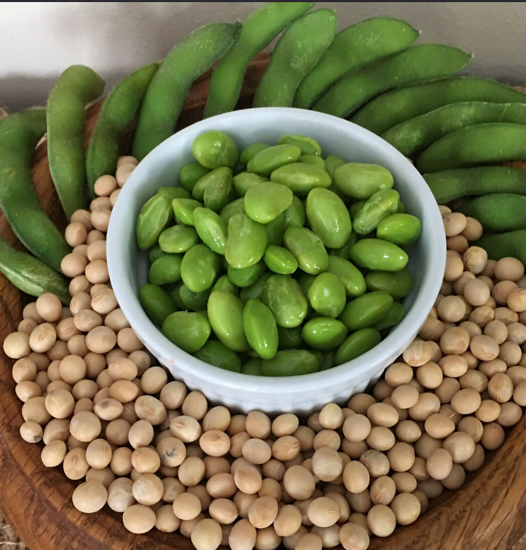 BeSweet Edamame Soy Bean Seeds | Non-GMO Vegetable