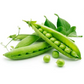 Sugar Ann Snap Pea Seeds, Snow Pea, Heirloom, NON-GMO