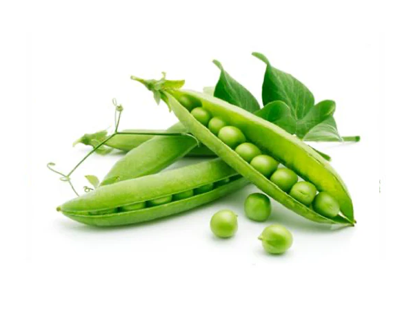 Sugar Ann Snap Pea Seeds, Snow Pea, Heirloom, NON-GMO