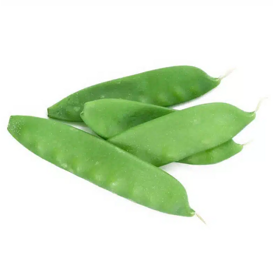 Oregon Sugar Pod II Snow Pea Seeds, Organic, NON-GMO