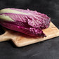 Merlot Red Dragon Chinese Cabbage Hybrid (F1) seeds - Brassica rapa