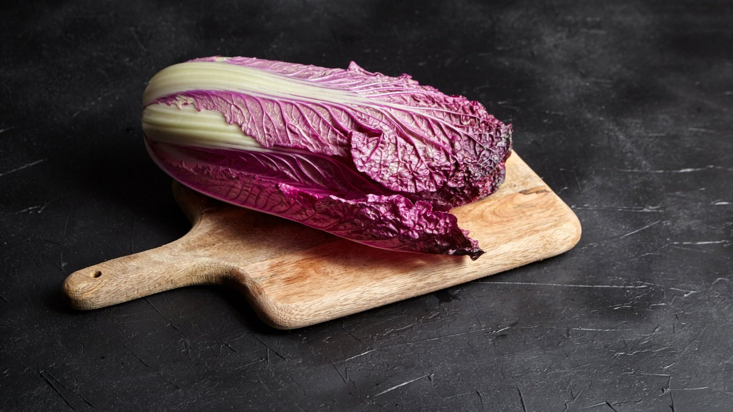 Merlot Red Dragon Chinese Cabbage Hybrid (F1) seeds - Brassica rapa