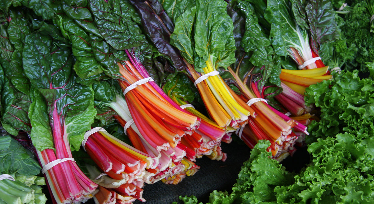 Rainbow Mixture Swiss Chard Seeds – Heirloom, Non-GMO