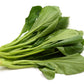 Yu Choy - Jung Green Seeds, Cải Ngọt, 傳家寶非基因改造