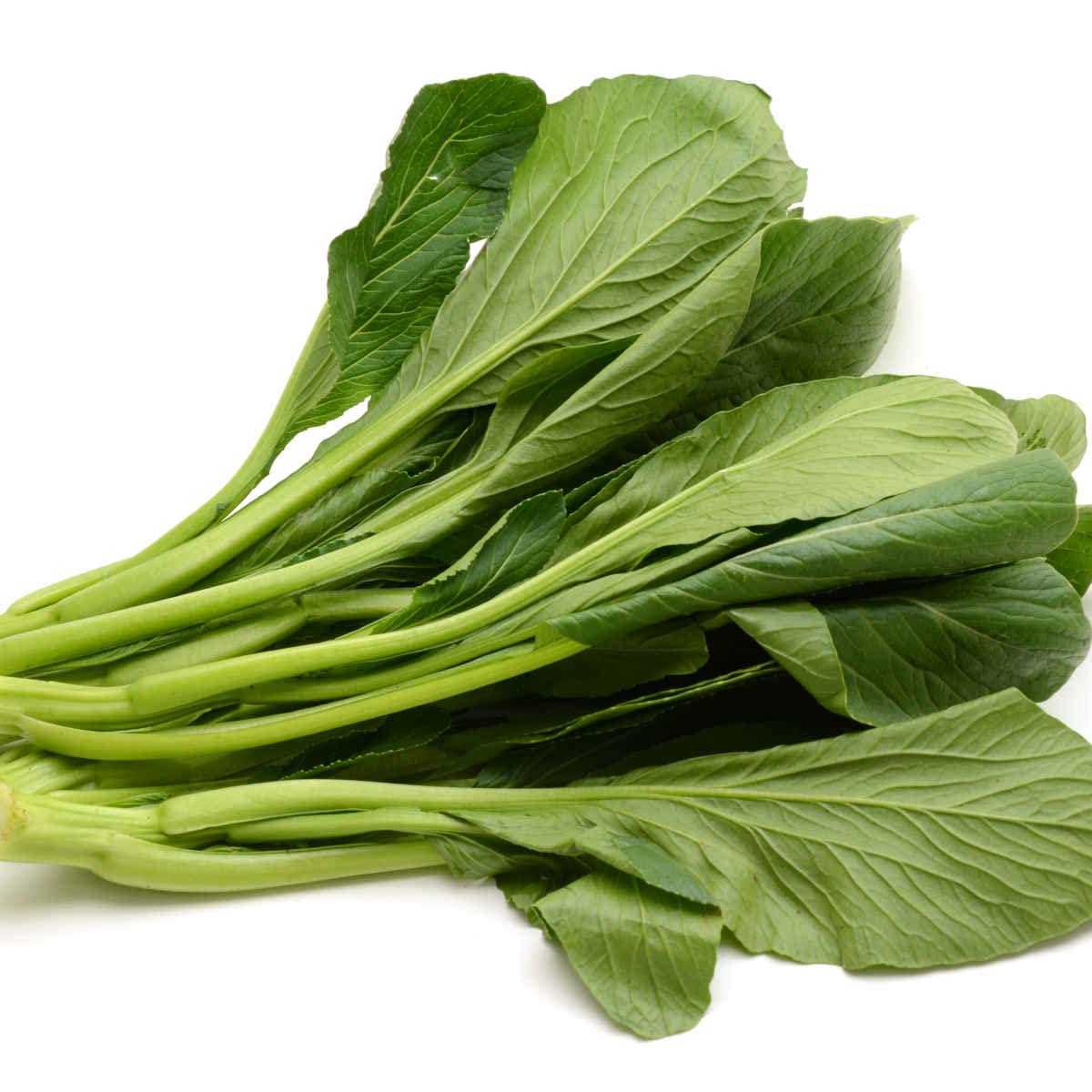 Yu Choy - Jung Green Seeds, Cải Ngọt, 傳家寶非基因改造