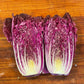 Merlot Red Dragon Chinese Cabbage Hybrid (F1) seeds - Brassica rapa