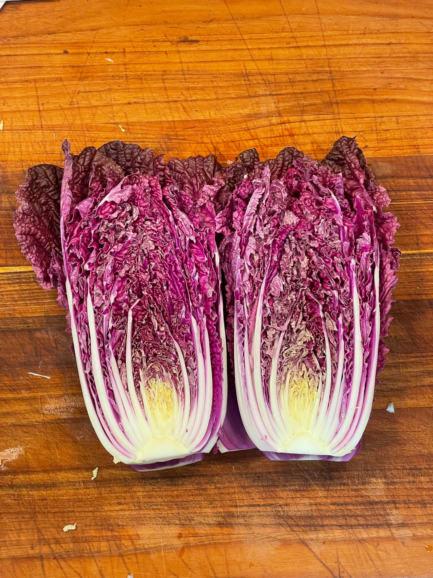 Merlot Red Dragon Chinese Cabbage Hybrid (F1) seeds - Brassica rapa