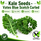 Vates Blue Scotch Curled Kale Seeds – Heirloom, Non-GMO