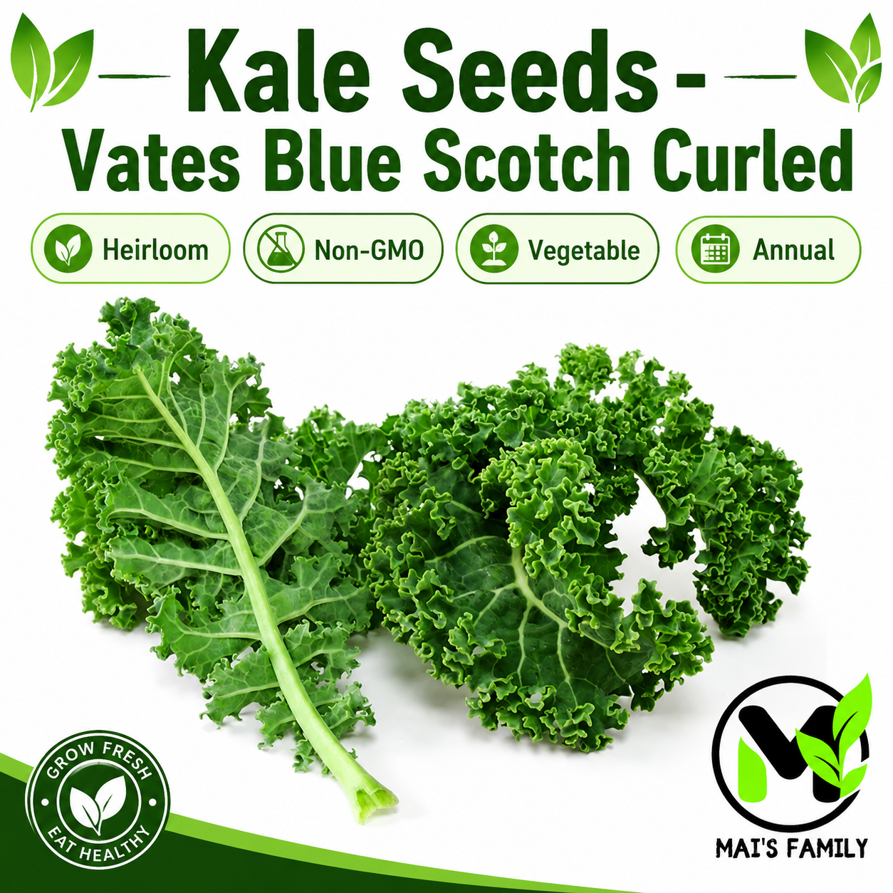 Vates Blue Scotch Curled Kale Seeds – Heirloom, Non-GMO