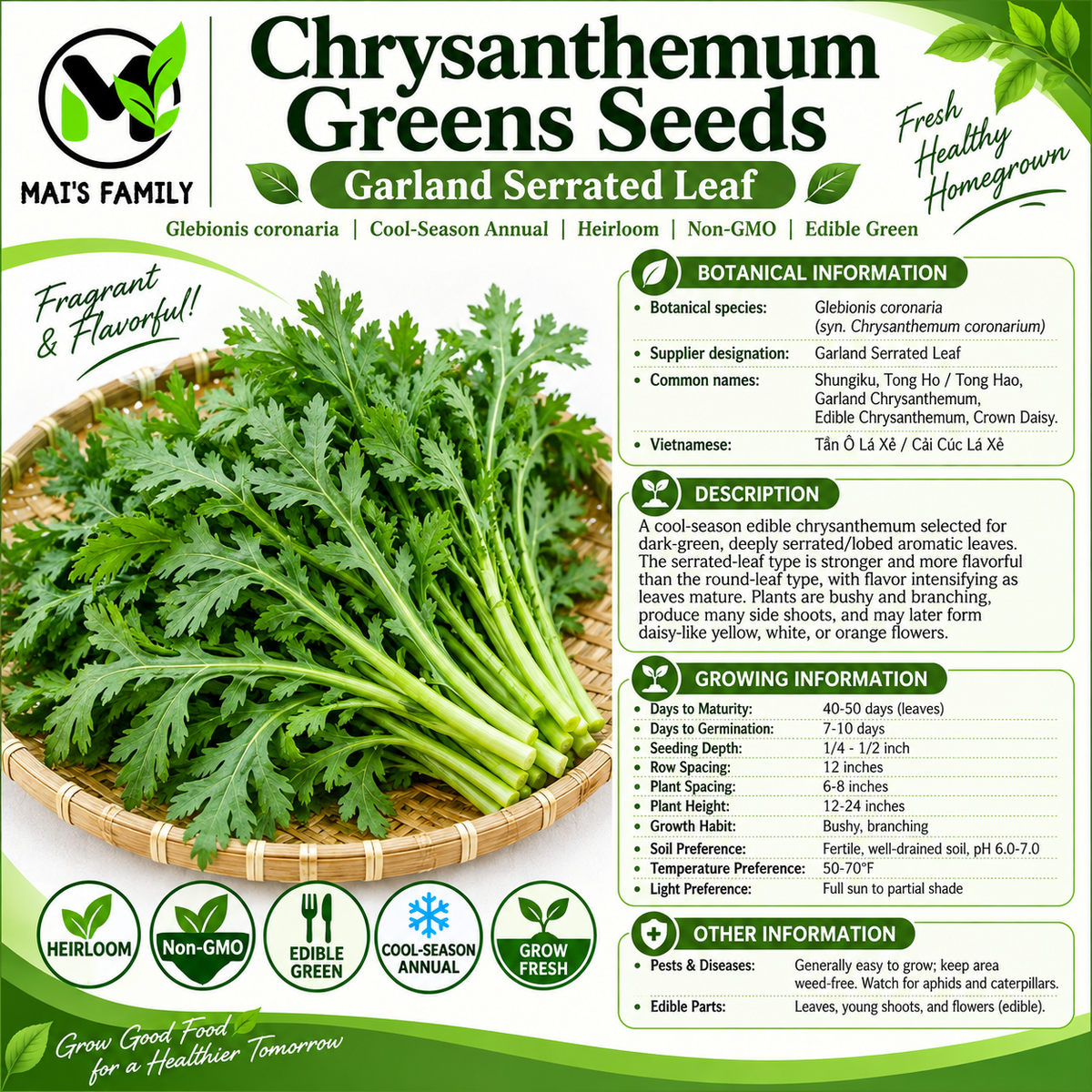 Garland Serrated Leaf Chrysanthemum Greens Seeds – Heirloom Non-GMO Tần Ô Lá Xẻ