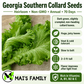Southern Giant Curled Mustard Seeds – Heirloom, Non-GMO, 1935 AAS Winner