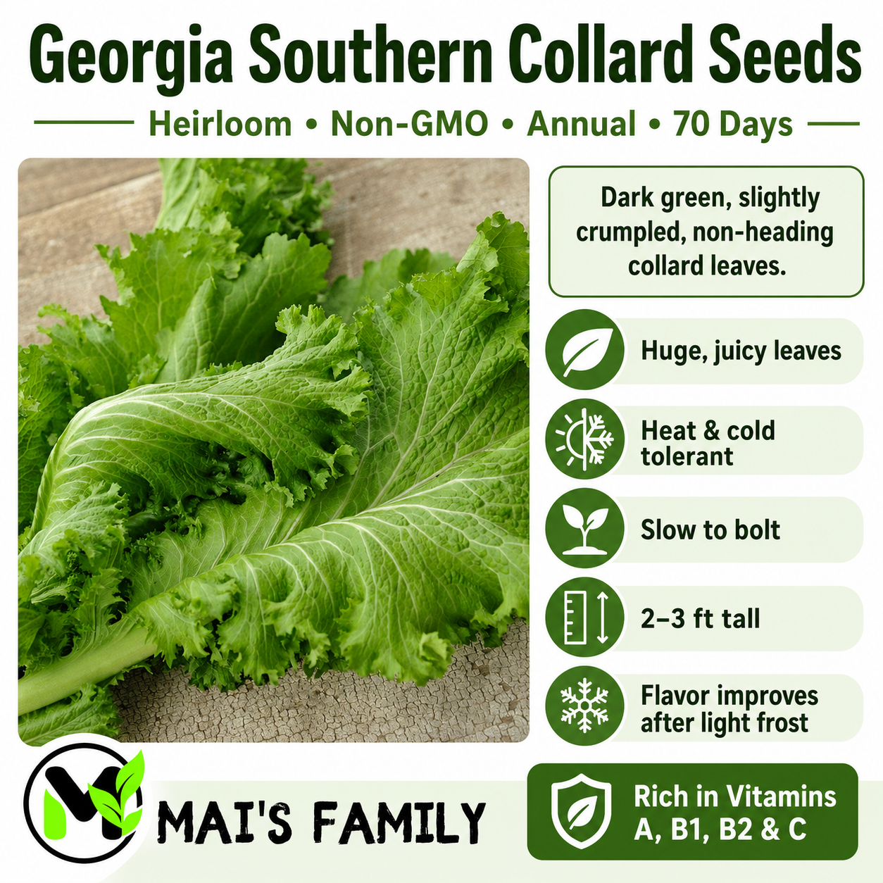 Southern Giant Curled Mustard Seeds – Heirloom, Non-GMO, 1935 AAS Winner