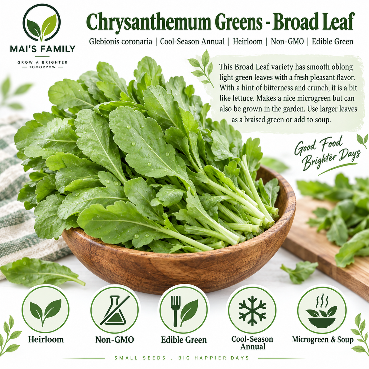 Broad Leaf Edible Chrysanthemum Seeds – Heirloom Non-GMO Tần Ô Lá Bự
