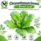 Broad Leaf Edible Chrysanthemum Seeds – Heirloom Non-GMO Tần Ô Lá Bự